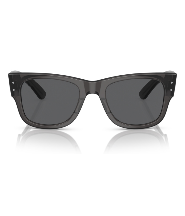 Wayfarer Sunglasses