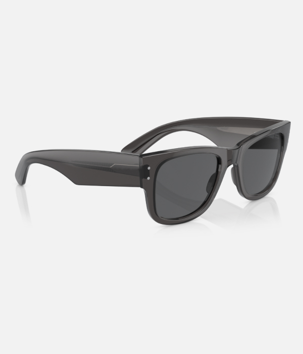 Wayfarer Sunglasses