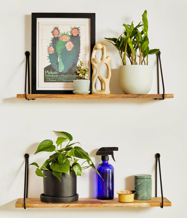Heartleaf philodendron