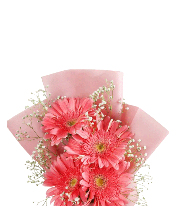 Blushing Pink Bouquet