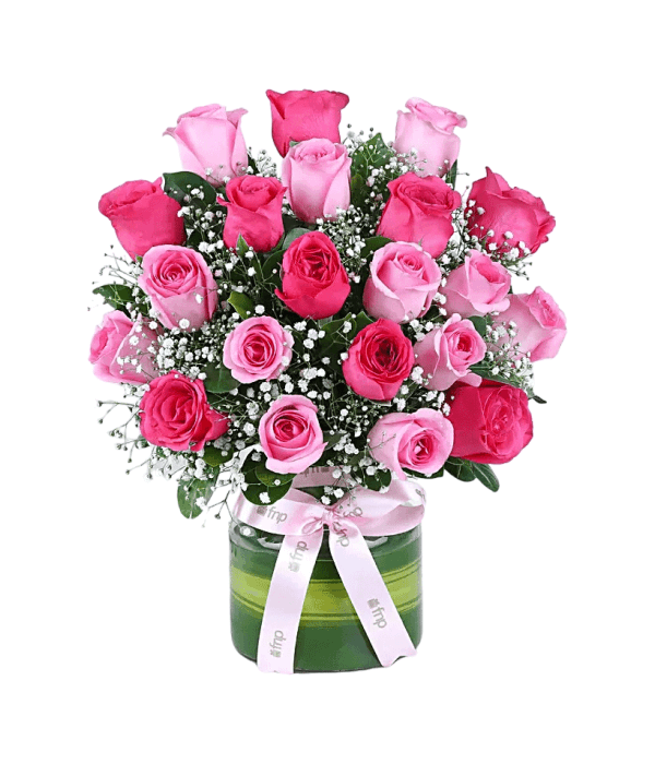 Alluring Pink Roses