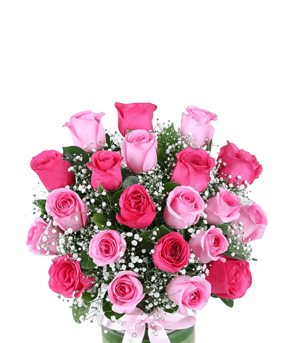 Alluring Pink Roses