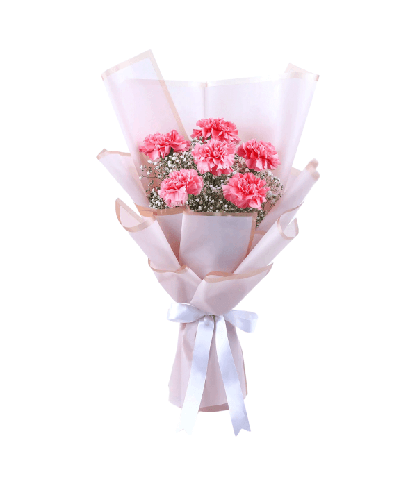 Blush Carnation Bouquet