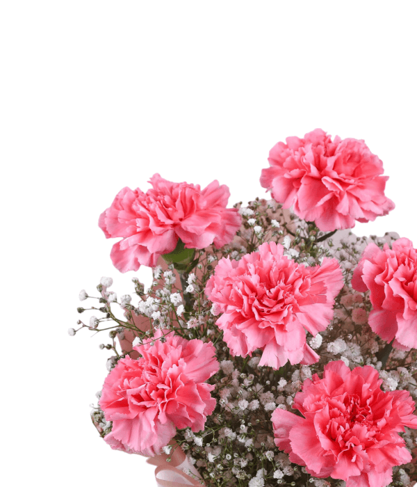 Blush Carnation Bouquet