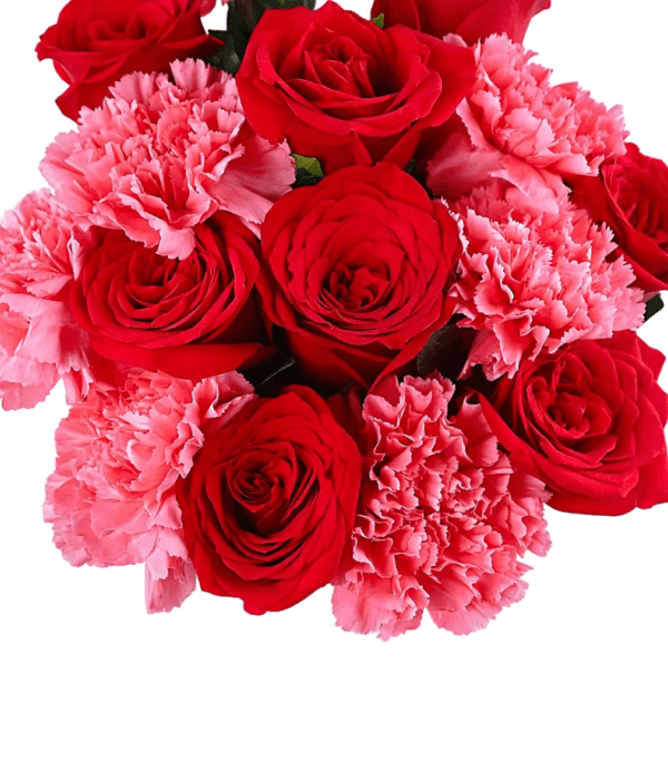 Red Carnation Bouquet