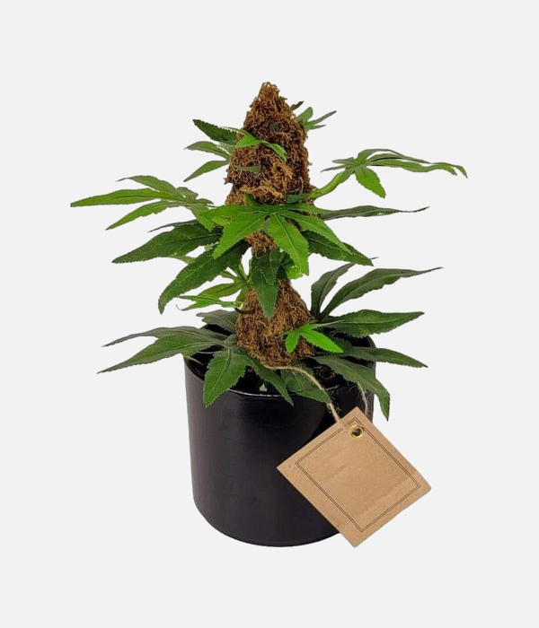 Artificial Marijauna Plant