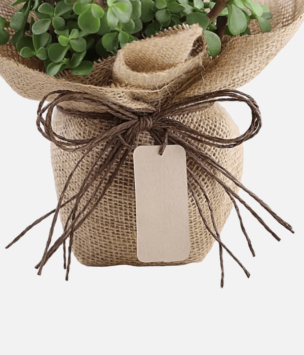 Jade Bonsai Jute Pot