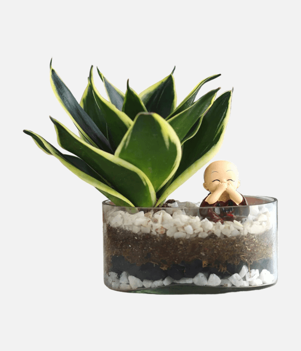 Zen Sanctuary Terrarium