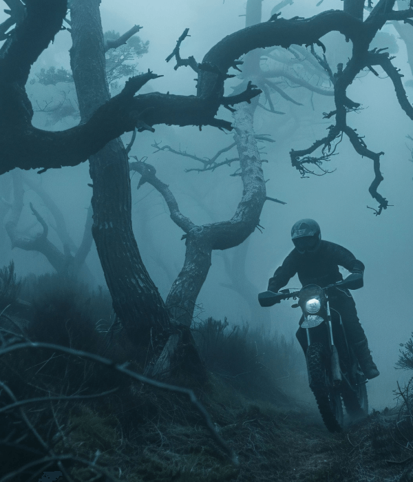 Days Gone