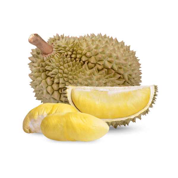 Freshly Picked Durian