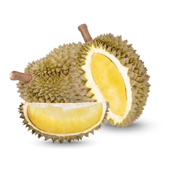 Freshly Picked Durian