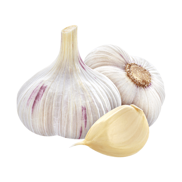 Fresh Organic Garlic