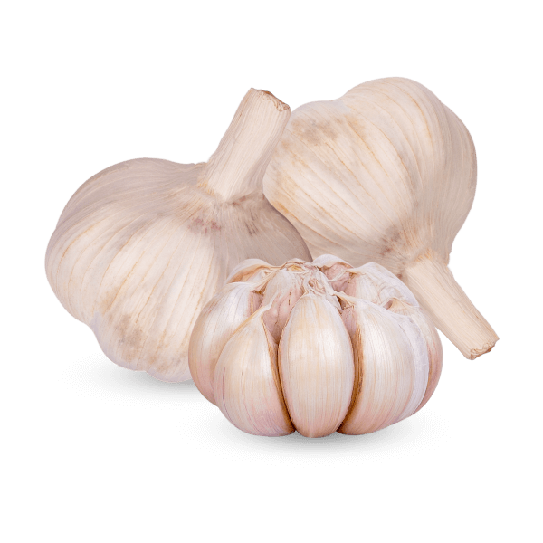 Fresh Organic Garlic