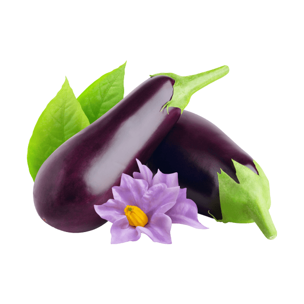 Nutrient-Rich Eggplant