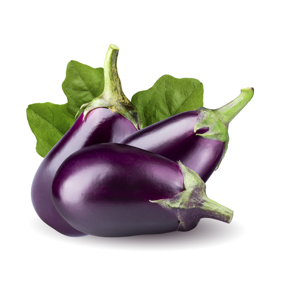 Nutrient-Rich Eggplant