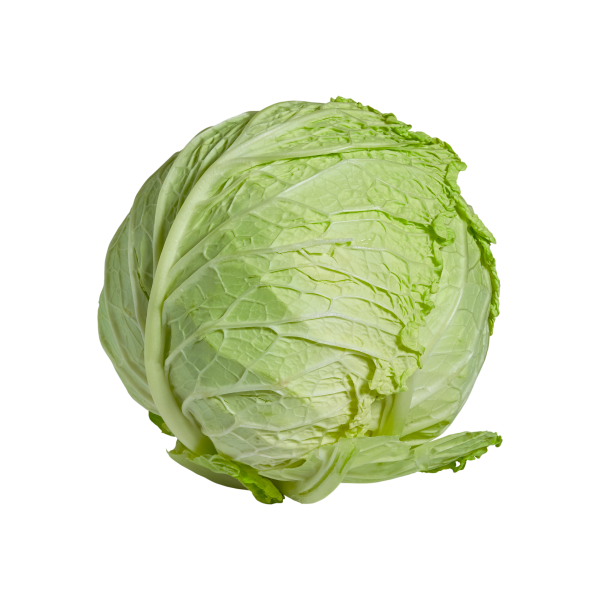 Gourmet Organic Cabbage