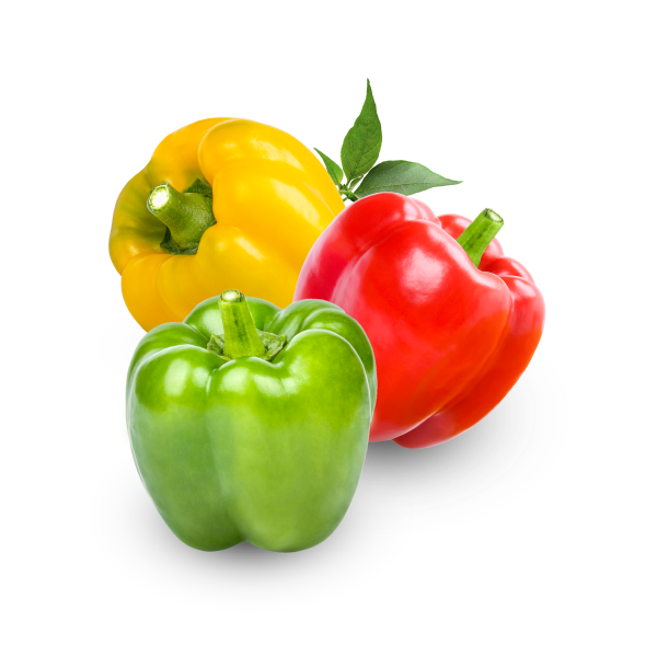 Fresh Capsicum