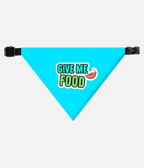 Goofy Dog Bandana