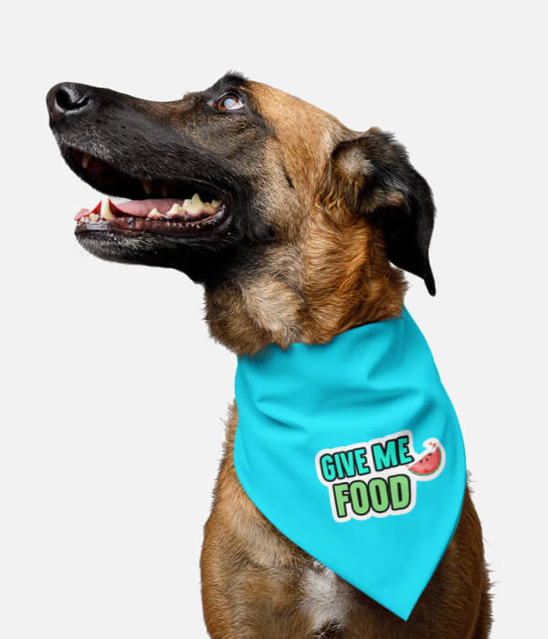 Goofy Dog Bandana