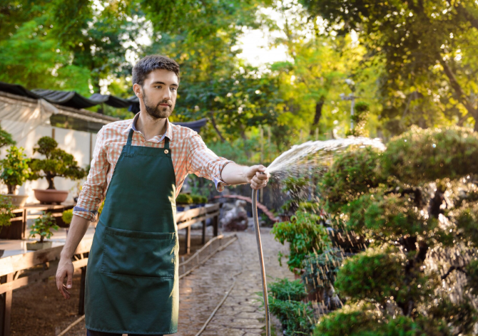 Landscaping Services: Transform Your Outdoor Spaces